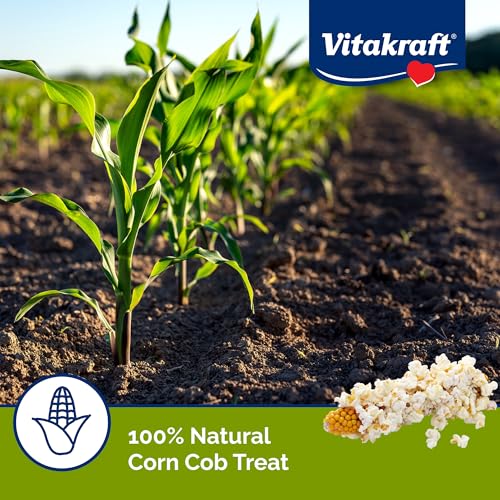 Vitakraft Mini-Pop Treat for Small Animals 6 oz – All-Natural Single-Ingredient Snack - Serve Popped or Unpopped – Enrichment, Chewing, Fun, Natural Teeth Wear – Rabbit, Hamster, Gerbil, Guinea Pig - size: 6 Ounce (Pack of 1)