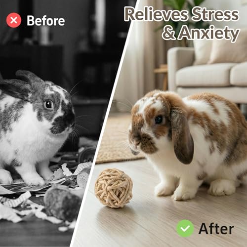 11 Pcs Rabbit Chew Toys, Interactive Bunny Foraging Toy, Natural Materials, Loofah Sponges, Seagrass Balls, Dental Cleaning, Relieve Stress
