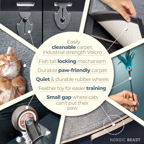 48'' XL Cat Wheel – Safe, Quiet & Stable Exercise Wheel for Large Indoor Cats up to 45 lbs – 15.7'' Extra-Wide Surface Fits 2 Cats Side by Side & Prevents Wobbling, 1-Year Warranty - color: Black