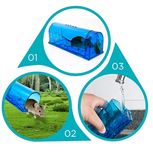 Blinc [4-Pack] Humane Mouse Trap - Catch and Release No-Kill Rodent Traps for Indoors & Outdoors - Safe for Children & Pets - Reusable Mouse Catcher for Kitchen, Pantry & Garage (Transparent Blue) - size: 4 Pack