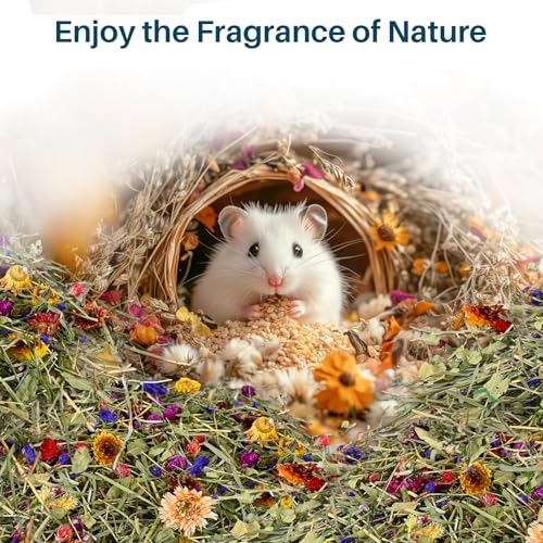 Sukh Hamster Bedding Odor Control - 200G Flowers & Herbs for Small Animals | Natural Habitat Decor and Forage Material for Dwarf Hamster, Chinchilla, Guinea Pig, Rabiit, Gerbil, Mice, Lemming
