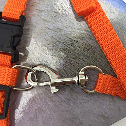 2 Pack Cat Harness and Leash | Adjustable Halter Harness with Nylon Strap, Safety Rope Leads for Kittens | Orange & Light Blue Color Set, Comfortable Escape-Proof Design