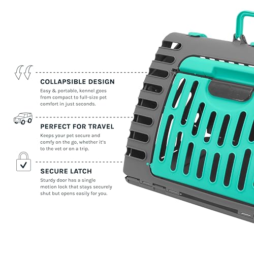 SportPet X-Large Hard-Sided Travel Cat Carrier - Cat Carrier with Patented Wide Side-Opening Door, Foldable Portable Pet Carrier for Cats & Small Pets up to 35lbs - Dark Gray/Teal - color: XL carrier