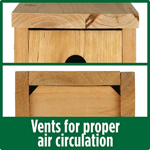Nature's Way Cedar Box Wren House with Clean-Out Door, Wild Bird House and Outdoor Décor, Brown (Pack of 4) - size: Wren Box House (Pack of 4)