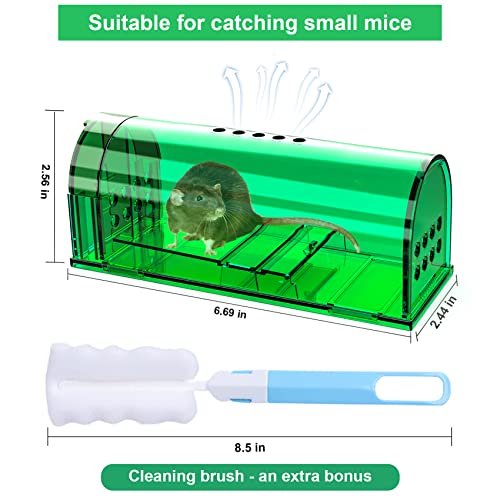 6 Pcs Humane Reusable Live Mouse Mice Traps Indoor Catcher for Home | Green, PC Material, Reusable Capture & Release, Use for Indoor, Waterproof - size: 6 Pack