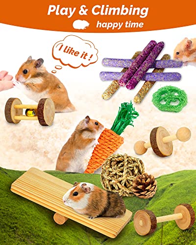 Hamster & Guinea Pig Toys - 18 Pcs Wooden Small Animal Chew Toys for Teeth - Rabbit, Chinchilla, Gerbils, Rats Exercise Accessories