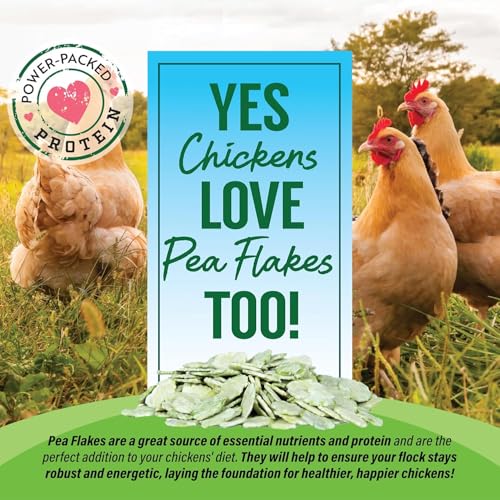 Small Pet Select - Pea Flakes, Treats for Rabbit Bunny, Guinea Pig, Chickens, Bunny, Hamster, and Other Small Pets, 3 lb (Three Pack, 1lb) - size: 3 Pound (Pack of 1)