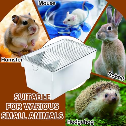 Large Lab Mouse Cage, Laboratory Rat Rodent Breeding Cage Cage, Small Animal Cage, Mouse Breeding & Weaning Cage (XL) - size: 21.5"L x 15.4"W x 7.9"H