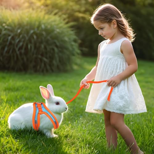 PETKNOWS 2 Pack Rabbit Harness and Leash Set | Double Buckle Bunny Harness with Reflective Strips Soft Breathable Mesh Vest Harness for Rabbits Walks Accessories