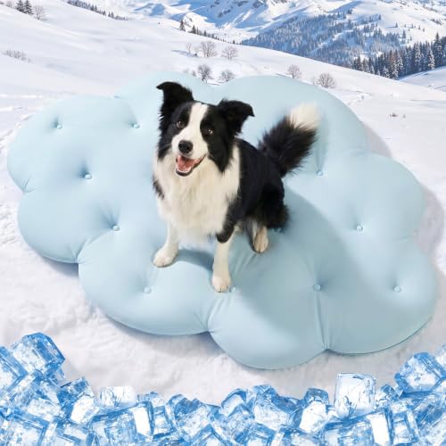 Q-Max>0.5 Dog Cooling Mat (Cool&Warm), 47''×35'', L, Cloud Sky Blue | Double-Sided Self-Cooling Mat for Dog, Pet Cool Pads for Summer, Crate, Kennel, Machine Washable, Cat Cool Bed, Non-Gel - color: Cloud-Sky Blue, size: L