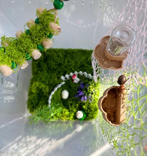 Jumping Spider Water Dispenser, Magnetic Hanging Feeder Dish with Cleaning Brush and Tweezers,Fits for Jumping Spiders,Arboreal Animals, and Other Small Animal Accessories (Green, 8ml) - color: Green
