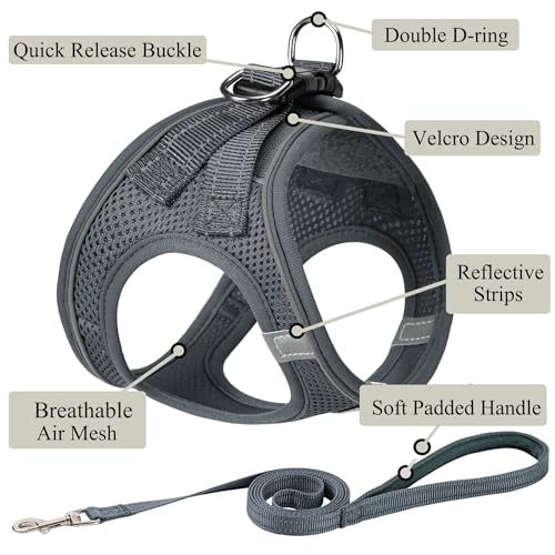 Dog Harness with Leash Set, Step-in Adjustable Puppy Pet Vest, Grey XXS | Lightweight Breathable Air Mesh, Night Safety Reflective, No Pull Puppy Vest Harnesses for Small Medium Large Dogs, Cats - color: Grey, size: XXS(Chest:10"-12")