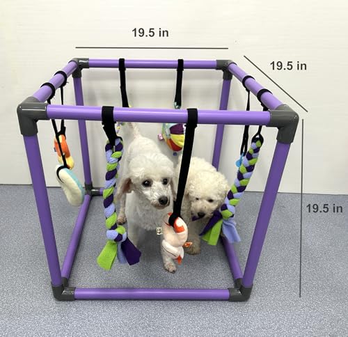 Puppy Play Gym for small dogs with 8 Hanging Interactive Toys Indoor Play | Funny Enrichment Jungle Playground to Keep Them Busy，with Bungee Straps for self-play,19.5*19.5*19.5in