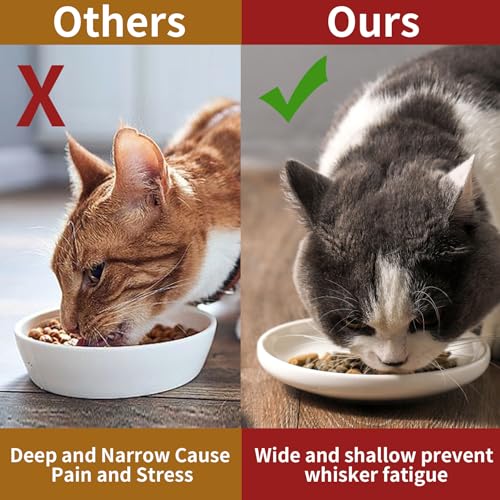 3 PCS Ceramic Cat Bowls, 5.5 in Pet Bowl Cat Dishes for Food and Water, Small Dog Dish(White) - color: white