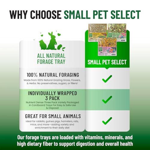 Small Pet Select Forage Tray Bundle, Rabbits & Guinea Pigs, 3-Pack | Dandelion, Flower & Herb Mix, 2.5 oz Each, Natural Foraging Enrichment for Rabbits, Guinea Pigs & Small Pets
