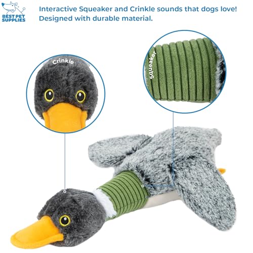 Best Pet Supplies Interactive Squeaky Dog Chew Toy, Ideal Dog Toys for Chewers, Small, Medium & Large Dogs, and Fetch Lovers - Mallard Duck Wing (Gray), Large - color: Mallard Duck Wing (Gray), size: Large