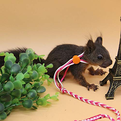COLIBROX Adjustable Hamster Leash Harness for Rats Ferret Mouse Squirrel Small Animal Pack of 2 COLIBROX
