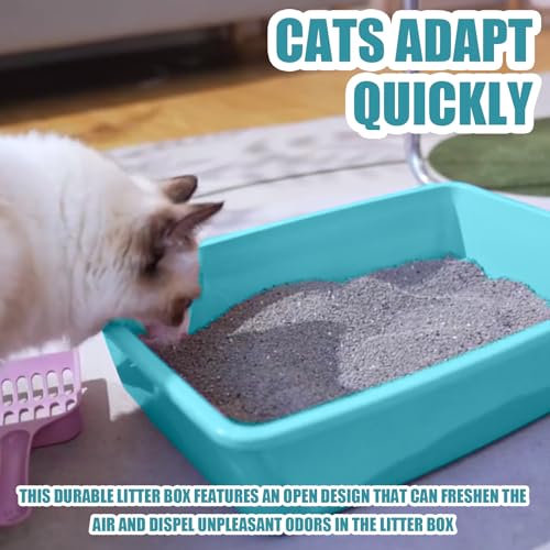 Small Litter Box, Plastic Kitten Litter Box, 13.9 x 9.8 x 3 Inch Open Litter Box for Small Pet, Easy to Clean (Blue 4PCS) - color: Blue 4PCS
