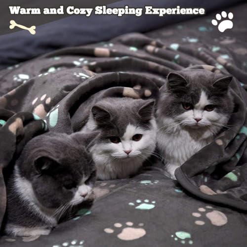 12 Pcs Small Dog Blanket Fleece Puppy Blankets Washable Pet Blankets for Cats Soft Flannel Paw Printed Throw for Guinea Pig Indoor Kittens Doggie (23 X 16 Inch,Dark Gray) - color: Dark Gray