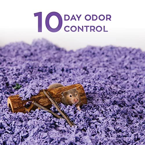 carefresh 99% Dust-Free Playful Purple Natural Paper Small Pet Bedding with Odor Control, 50 L - color: purple, size: 50 L