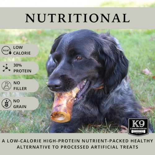 K9 Connoisseur Beef Marrow Dog Bones Long Lasting for Aggressive Chewers | USA Made Single Ingredient Dynamo Bone for Small and Medium Dogs Upto 50 Pounds - 6 Pack