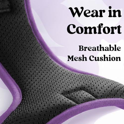 rabbitgoo Dog Harness Small Sized, Updated Easy On & Off with 3 Buckles | No Pull No Choke, Walking with 2 Clips and Handle, Adjustable Soft Reflective, Black & Purple, Small - color: Black & Purple, size: Small