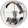 11.8" Silent Chinchillas Wheel Stainless Steel Chinchilla Exercise Wheel | Quiet Running Wheel for Chinchilla Hamster Rodent Wheel for Syrian Hamsters,Sugar Gliders,Hedgehogs,Squirrels and Small Pets