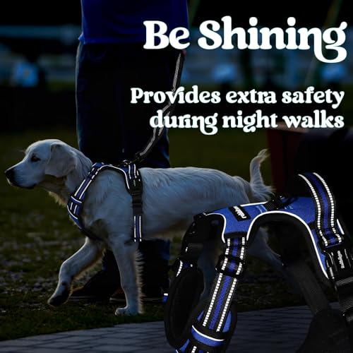 rabbitgoo Dog Harness Small Sized, Updated Easy On & Off with 3 Buckles | No Pull No Choke, Walking with 2 Clips and Handle, Adjustable Soft Reflective, Blue, Small - color: Blue, size: Small