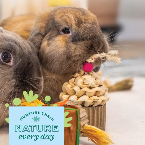 Oxbow Enriched Life Celebration Cupcake - Toy for Rabbits, Guinea Pigs, Hamsters, Rats - style: Celebration Cupcake