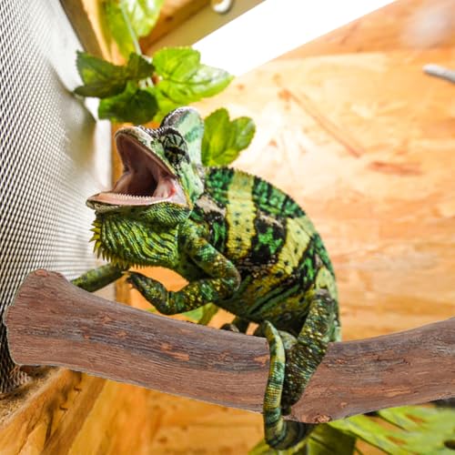 FAVOMOTO Wooden Reptile Climbing Branch with Suction Cups, Natural Terrarium Reptile Decor Lizard Climbing Toy for Snake Frog Bearded Dragons Chameleons Habitat Tank Accessories