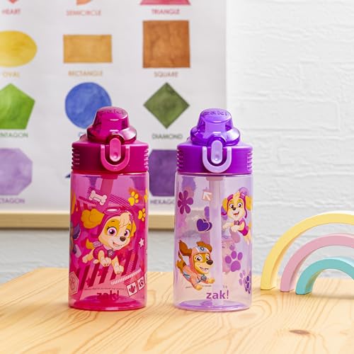 Zak Designs PAW Patrol Sage 16oz Leak-Proof Straw Kids Water Bottle, 2-Pack | BPA Free Durable Plastic, Cupholder Friendly, Dishwasher Safe, Easy to Clean, Lid Lock, Handle, For School, Home, Travel - color: PAW Patrol (Skye & Friends)