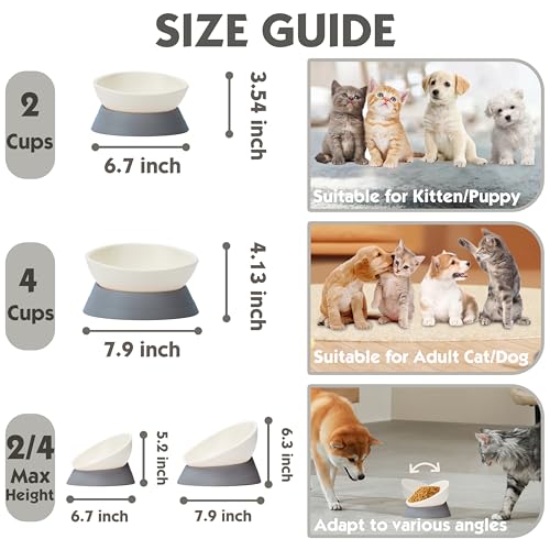 French Bulldog Food Bowl- Slanted Tilted Pug Food Water Bowl,Cat Bowl- Feeder for Frenchie/Shih Tzu/Flat Faced Small Dogs/Puppies/Cats (Grey, 2 Cup) - color: Grey, size: 2 Cup
