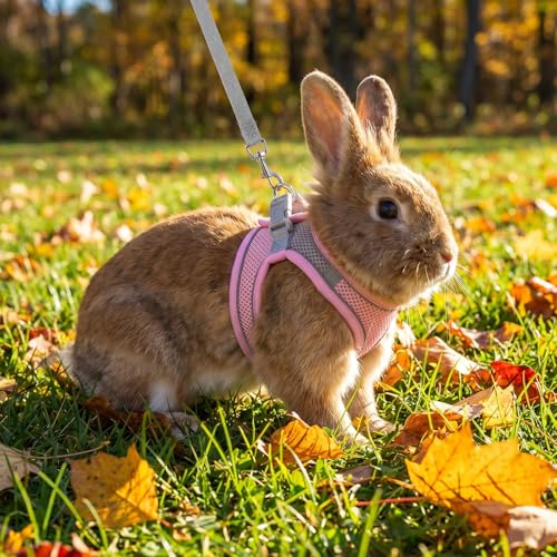 Adjustable Rabbit Harness and Leash Set, Escape Proof Breathable Mesh Rabbit Vest, Small Pet Harness and Leash for Rabbit Kitten Ferret Puppy, Pink Gray Walking Accessories