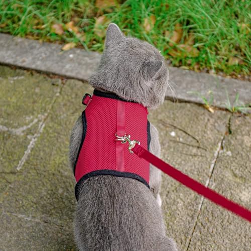 PUPTECK Soft Mesh Cat Vest Harness and Leash Set Puppy Padded Pet Harnesses Escape Proof for Cats Small Dogs, Red Medium - color: Red, size: M(NECK 7", CHEST 10.5", 4-6 lbs)