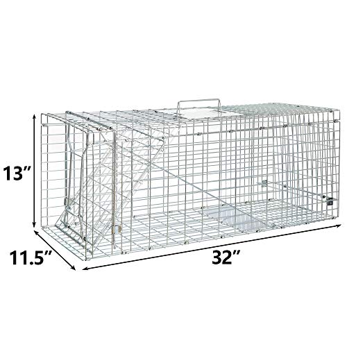 ANT MARCH 32'' Live Animal Cage Trap with Gloves Steel Humane Release | Rodent Cage Trap for Rabbits, Stray Cat, Squirrel, Raccoon, Mole, Gopher, Opossum, Skunk, Chipmunks, Groundhog