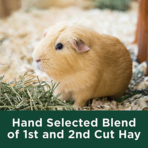 Kaytee Orchard Grass, 24-Ounce - size: 1.5 Pound (Pack of 1)