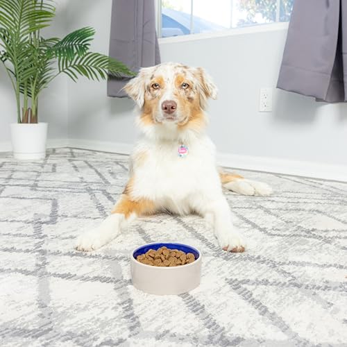 SPOT by Ethical Products – Ceramic Stoneware Pet Bowl for Cats and Small Dogs,Classic Heavy Duty Non Slip Ceramic Cat Dish Dog Bowls for Food and Water - size: 5"