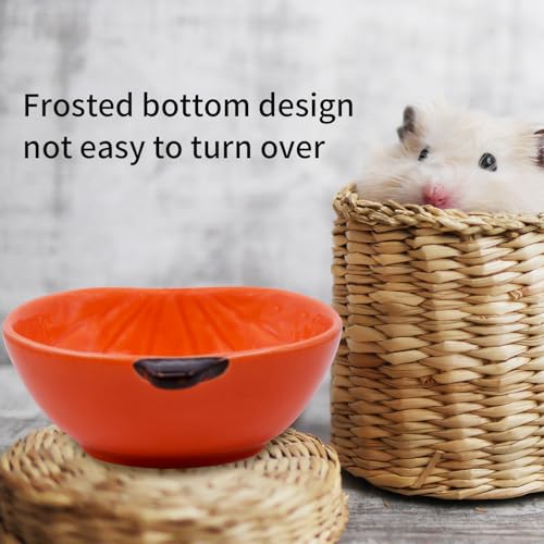 Small Guinea Pig Food Bowl Pumpkin-Shaped Cute Ceramic Hamster Water Bowl Ferret Rat Chinchilla Rabbit Feeding Dish Young Animal Feeder(Brown) - color: Brown
