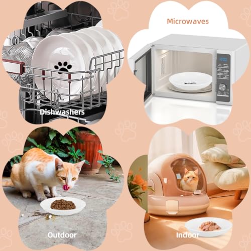 6 Pack Cat Food Bowl, Ceramic Cat Bowls, Anti Whisker Fatigue Cats Bowl Set | 5.5 Inches Shallow Wide Kitten Plates for Food and Water (White-E) - color: White-E