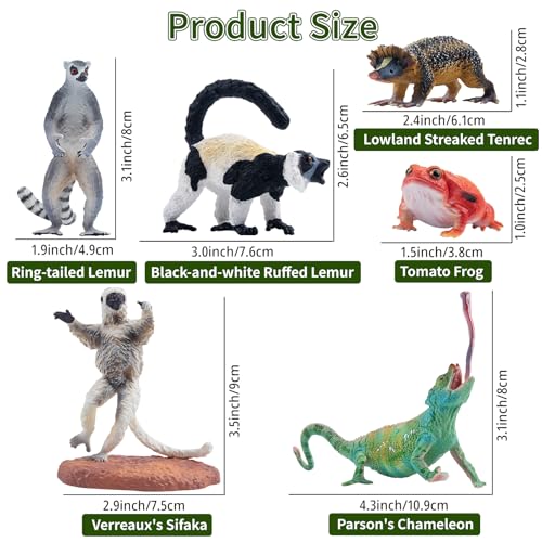 Toymany 12PCS Madagascar Animal Figurines Set, Realistic Lemur Jungle Animal Toys Set Includes Chameleon, Tortoise,Gecko,Fossa,Sifaka -Educational Forest Animals Figure Toy Collection for Kids Adults - style: Jungle Animal-1