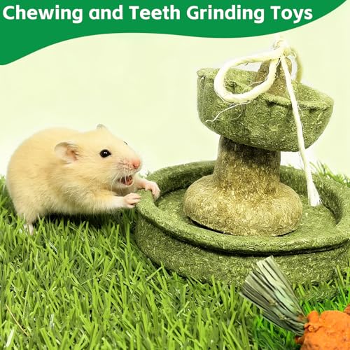 Hamiledyi Guinea Pig Chew Toys Rabbit Chew Toys for Teeth Natural Hamster Treats Prevent Teeth Overgrowth for Syrian Hamsters Gerbils Rat Bunny Chinchilla Small Animals - style: Style A