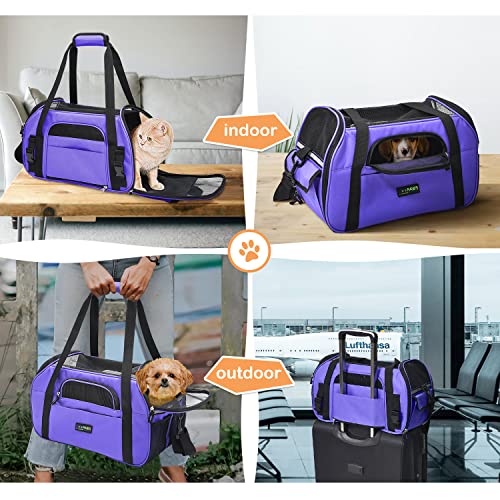 JESPET Soft-Sided Kennel Pet Carrier for Small Dogs, Cats, Puppy, Airline Approved Cat Carriers Dog Carrier Collapsible, Travel Handbag & Car Seat - color: Purple, size: 17.0"L x 9.0"W x 11.5"H