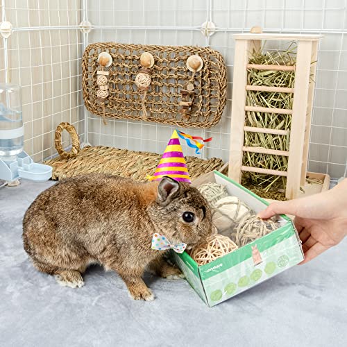 andwe Small Animals Play Balls Rolling Chew Toys & Gnawing Treats for Rabbits Guinea Pigs Chinchilla Bunny Degus - Pet Cage Entertainment Accessories - size: Pack of 6