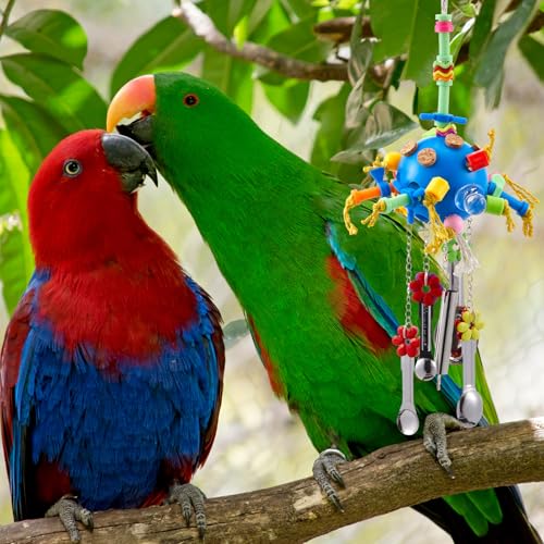 Seenelling 3 Pcs Extra Large Bird Parrot Toy Multicolored Natural Wooden Parrot Cage Chewing Toys for Large Medium Macaws Cockatoos African Grey Birds (Ring and Ball) - style: Ring and Ball