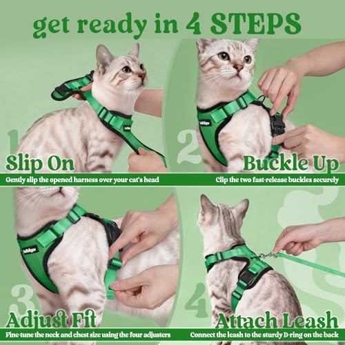 rabbitgoo Cat Harness and Leash Set, Escape Proof Vest, Grass Green | Soft Breathable Mesh, Easy Adjustable Fit, Snap Buckles, Sturdy Clip, Reflective Strips, for Kittens & Small Cats Walks, Xxs - color: Grass Green, size: Xxs