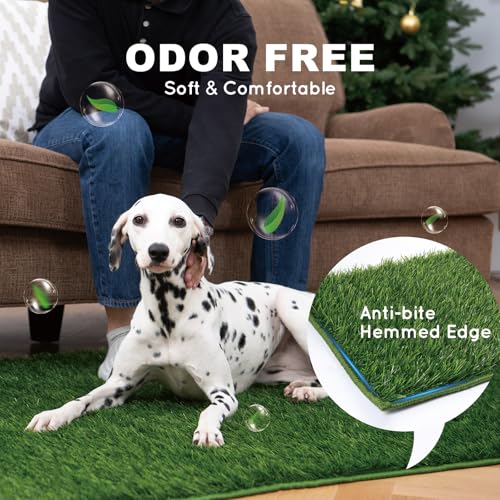 HQ4US Dog Grass Pad with Tray, Odor Free Grass Pee Pad for Dog Litter Box | Small Dog Potty Tray No Grate, Artificial Grass Fast Drainage, Hemmed Edge, Realistic, Fake Grass for Indoor Balcony - size: S(No Grate) - 23" x 16" for Dog＜19'' Length