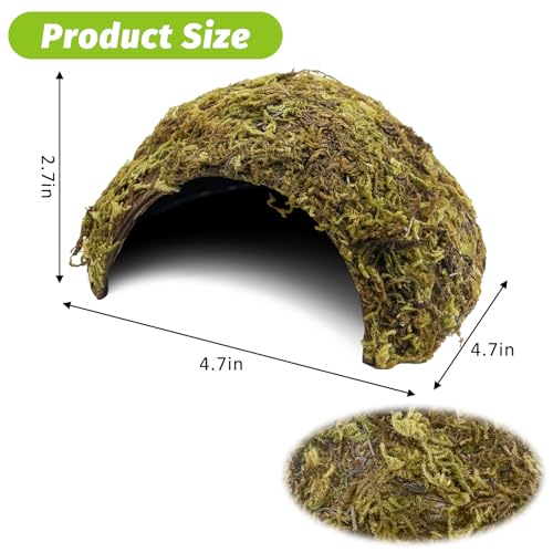 BNOSDM 2 Pcs Hamster Hideout Natural Mossy Cave Hamster Houses and Hideouts Moss Covered Coconut Enclosed Hiding Hut for Mice Habitat Hamster Cage Accessories for Dwarf Gerbil Syrian Fancy Mouse - size: Small-2Pcs