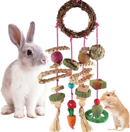 YIXUND Rabbit & Guinea Pig Toys - Hamster & Bunny Toys - Natural Timothy Hay & Apple Wood Sticks - Chinchilla Teeth Care - Handmade Dream Catcher - color: 18 Pcs