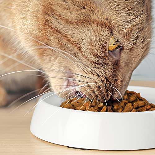 CatGuru Cat Bowls, Whisker Friendly Food Bowl for Indoor Cats, Reliefs Whisker Fatigue, Wide Kitten Dish, Non Slip Pet Dishes, Shallow Pet Plates (Marshmallow) | Wide, shallow food dish lets cats reach every bite comfortably reducing food waste. Nonslip.