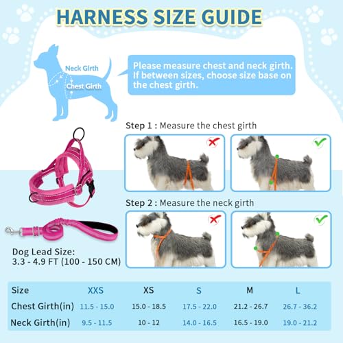 SlowTon No Pull Small Dog Harness and Leash Set with Front Clip | Soft Padded, Neck & Chest Adjustable, Lightweight, Anti-Twist, Puppy Vest Harness Pet Lead Combo for Small Medium Dog, FU XS - color: Fuchsia, size: X-Small